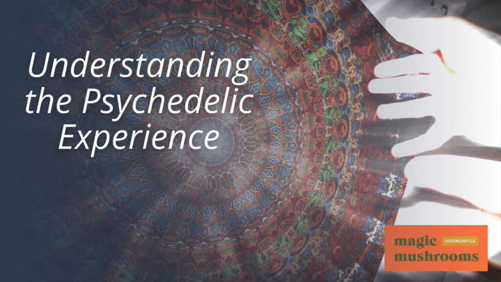 Understanding the Psychedelic Experience