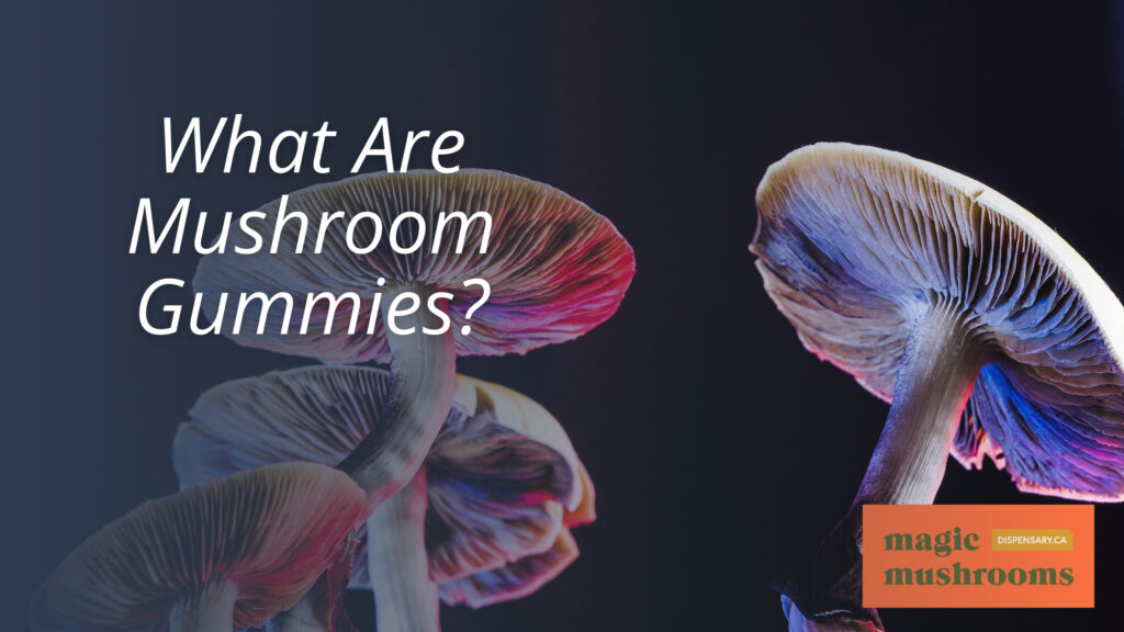 What Are Mushroom Gummies
