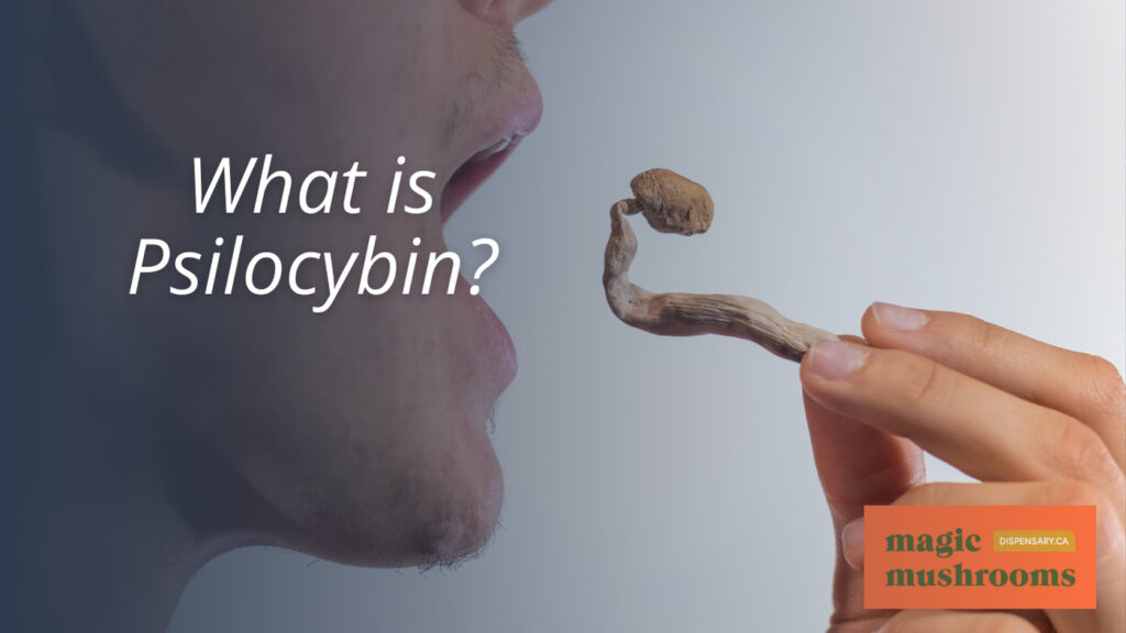 What is Psilocybin