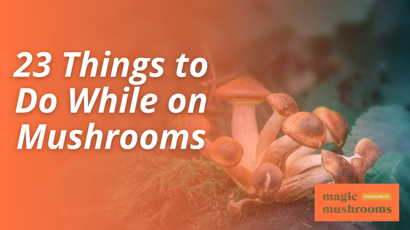23 Things to Do While on Mushrooms