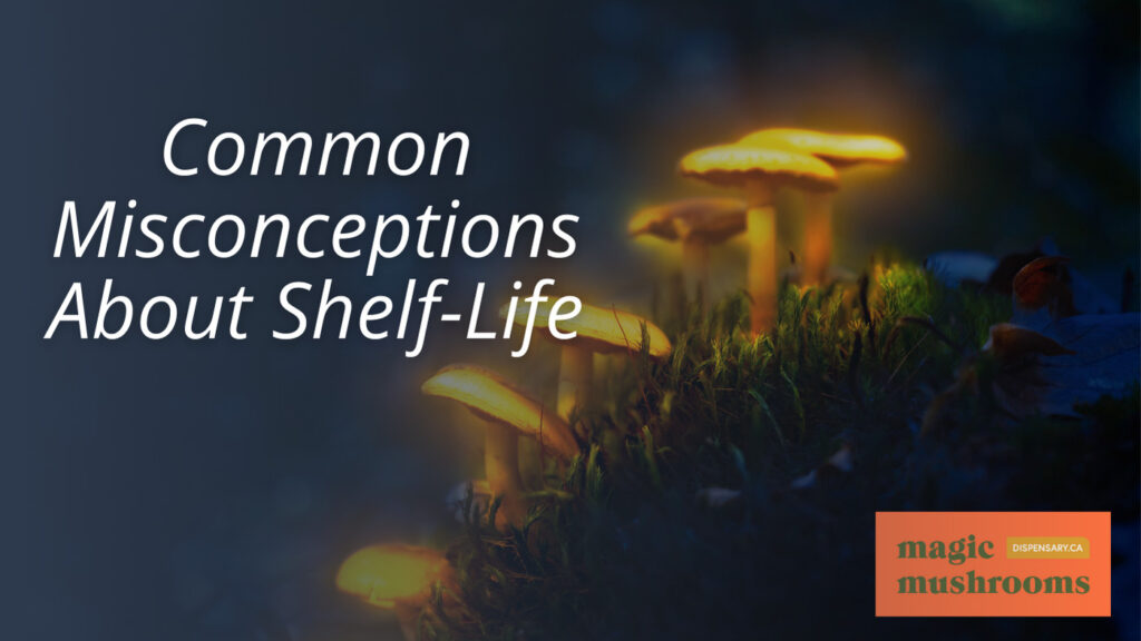 Common Misconceptions About Shelf Life