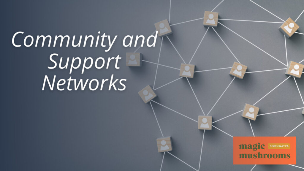 Community and Support Networks