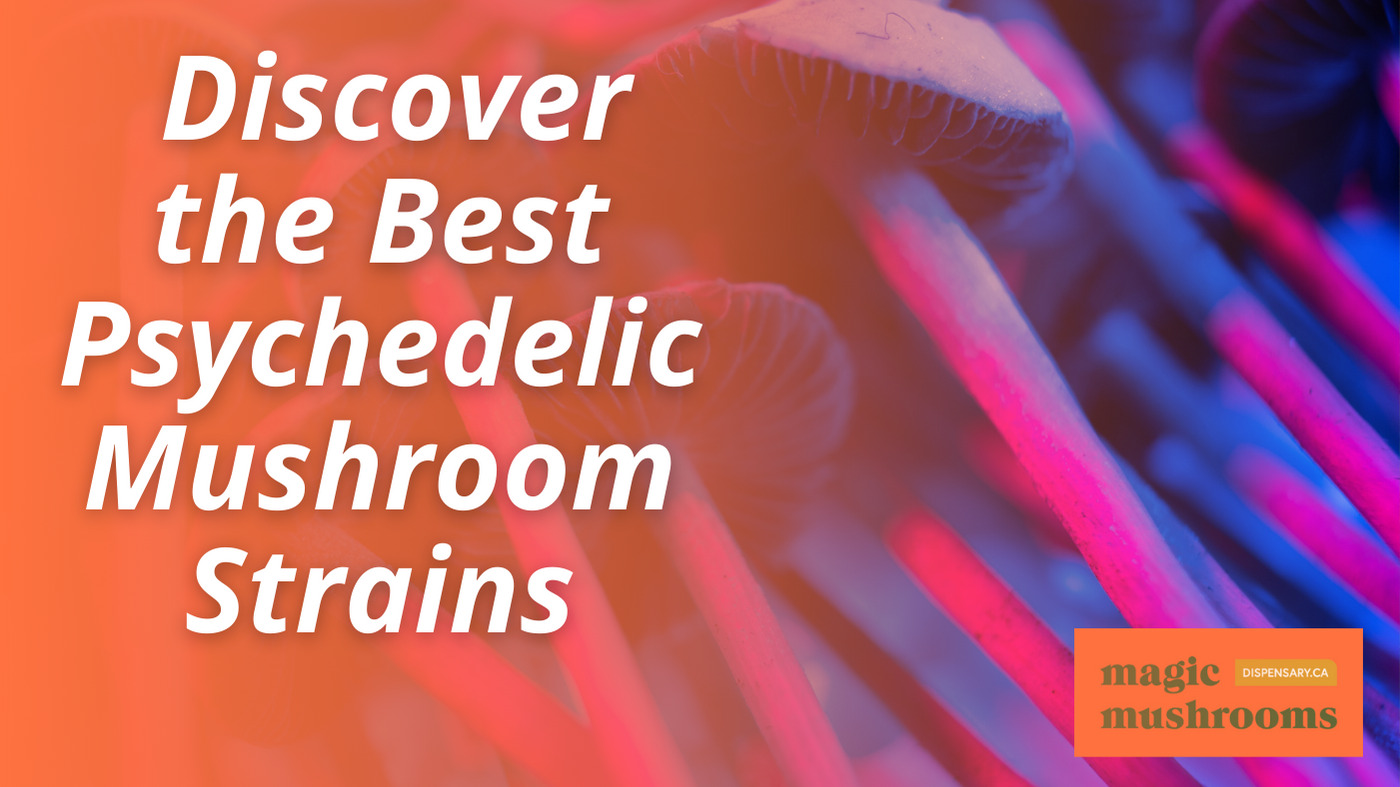 Discover the Best Psychedelic Mushroom Strains