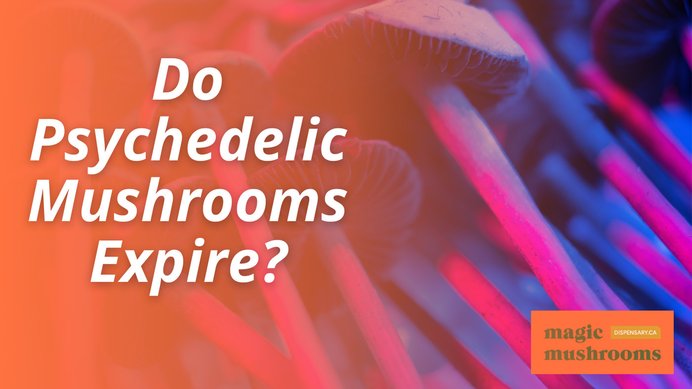 Do Psychedelic Mushrooms Expire