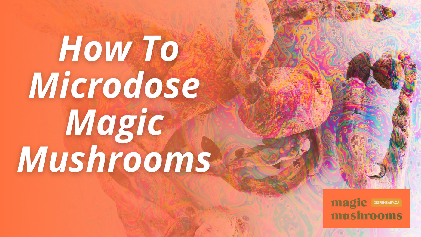 How To Microdose Magic Mushrooms