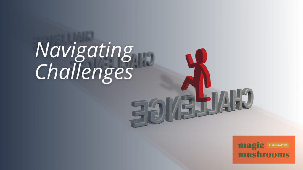 Navigating Challenges