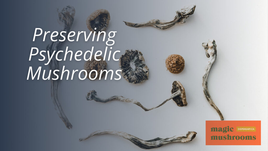 Preserving Psychedelic Mushrooms