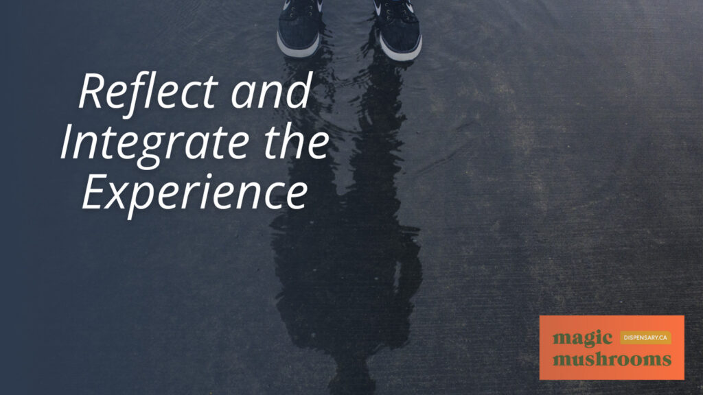 Reflect and Integrate the Experience