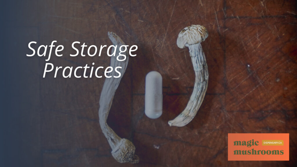 Safe Storage Practices