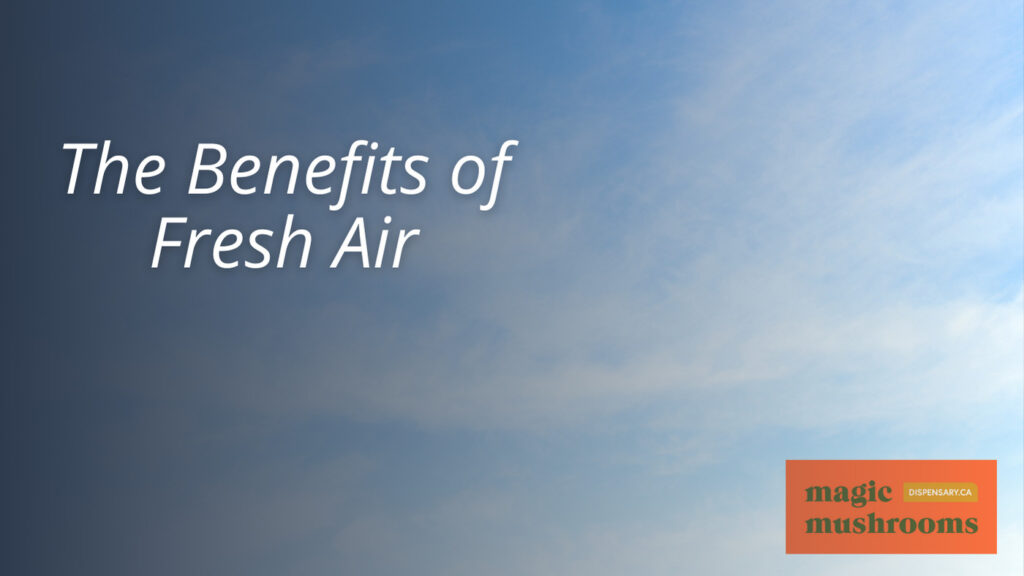 The Benefits of Fresh Air