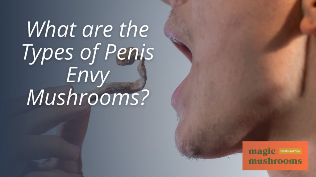 What are the Types of Penis Envy Mushrooms