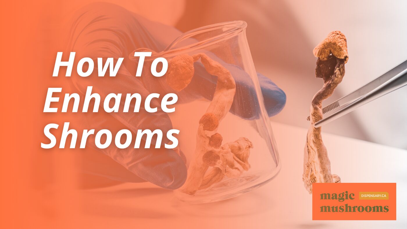 How To Enhance Shrooms