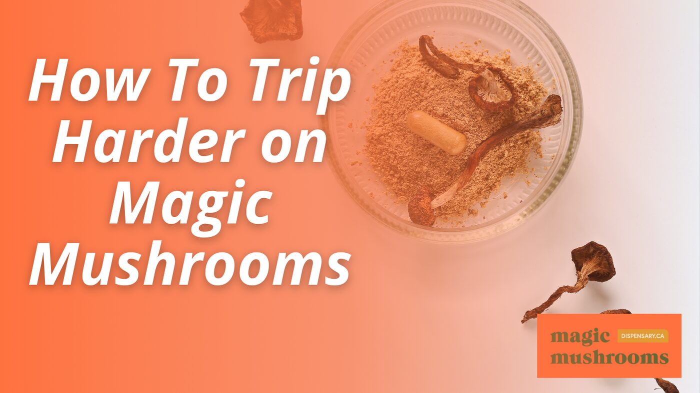 How To Trip Harder on Magic Mushrooms