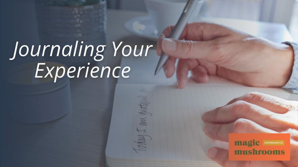 Journaling Your Experience