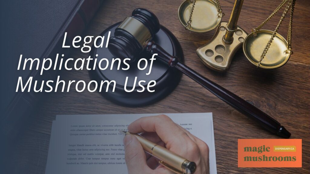 Legal Implications of Mushroom Use