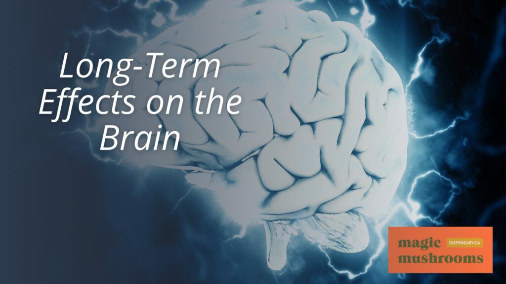 Long Term Effects on the Brain