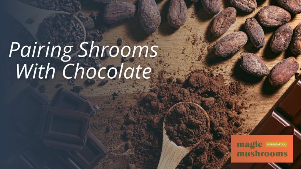 Pairing Shrooms With Chocolate