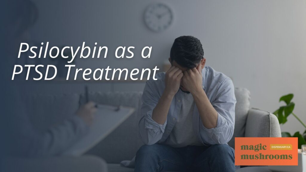 Psilocybin as a PTSD Treatment