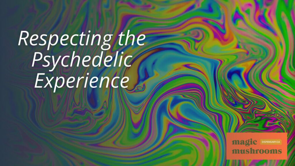 Respecting the Psychedelic Experience