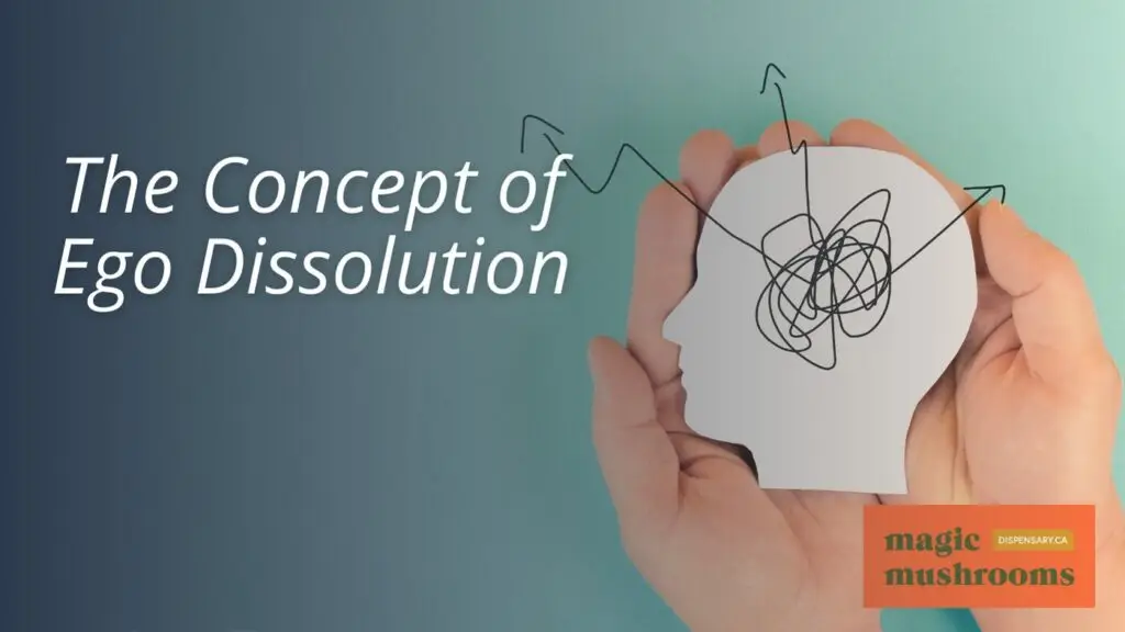 The Concept of Ego Dissolution