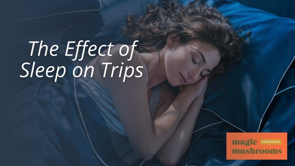 The Effect of Sleep on Trips