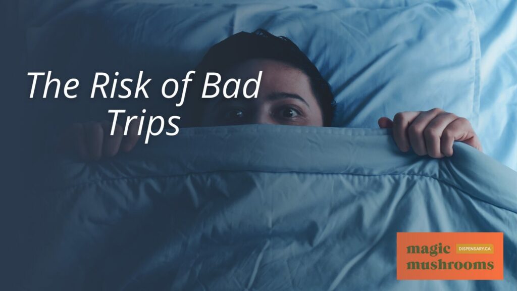 The Risk of Bad Trips