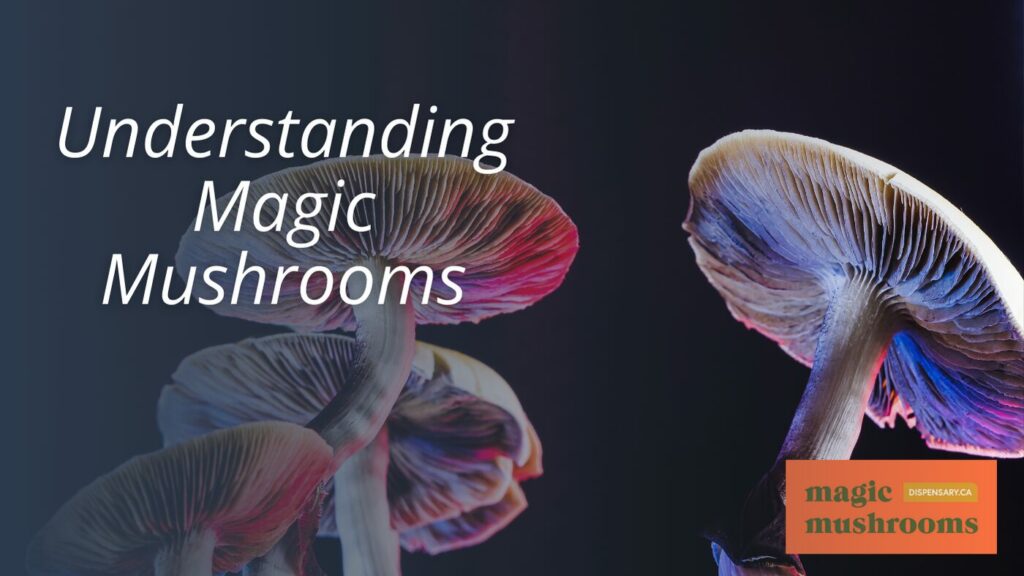 Understanding Magic Mushrooms