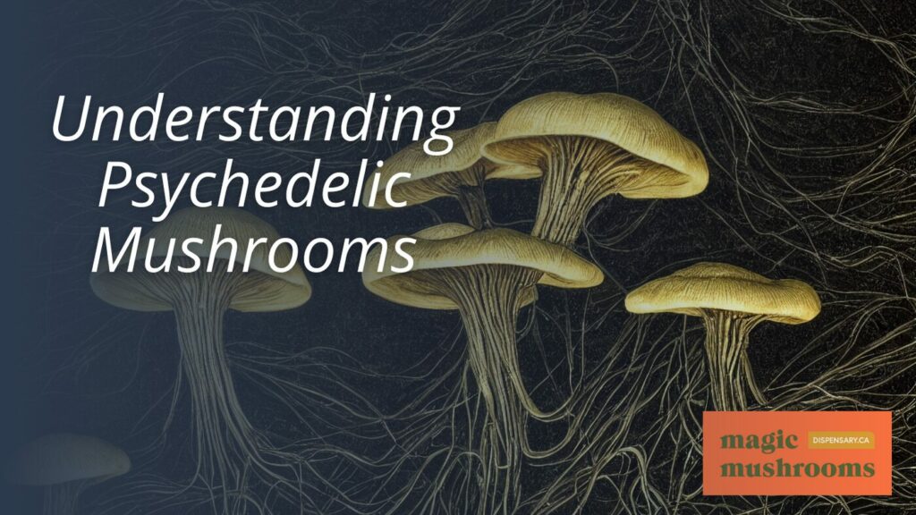 Understanding Psychedelic Mushrooms (2)