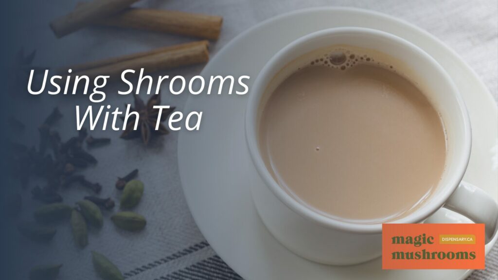 Using Shrooms With Tea