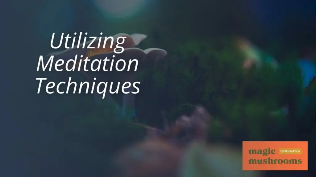 Utilizing Meditation Techniques Utilizing Meditation Techniques