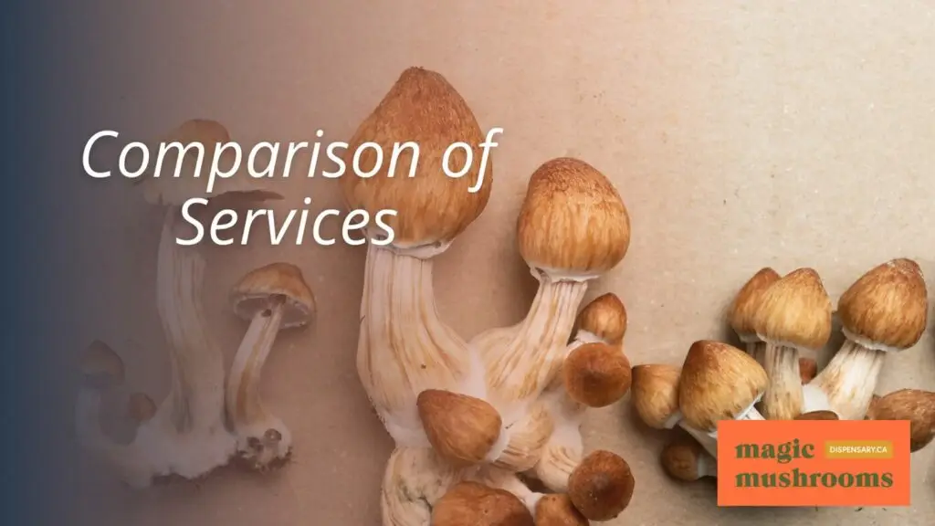 Comparison of Services