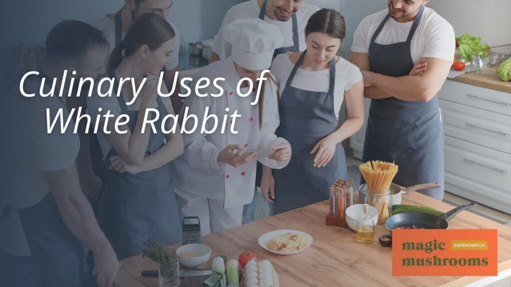 Culinary Uses of White Rabbit