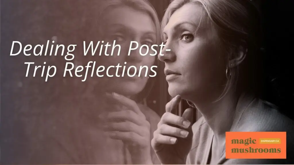 Dealing With Post Trip Reflections