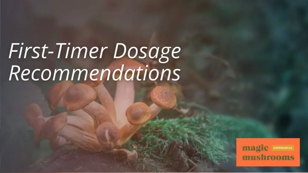 First Timer Dosage Recommendations