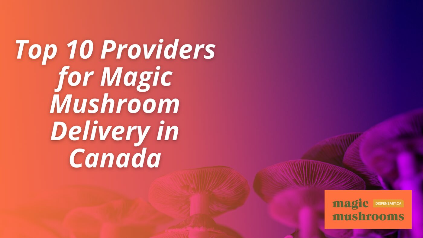 Magic Mushroom Delivery in Canada