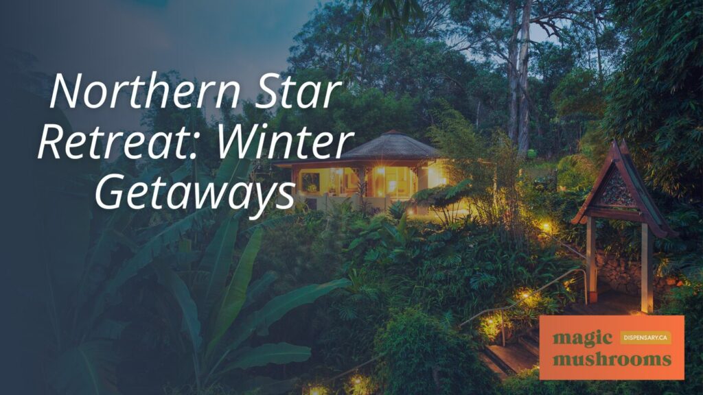 Northern Star Retreat Winter Getaways