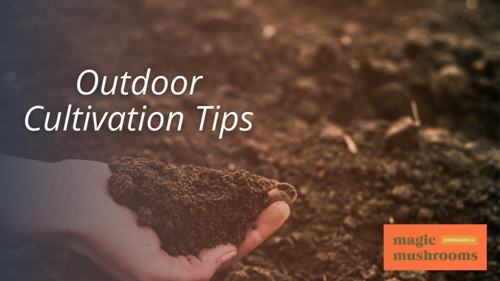 Outdoor Cultivation Tips