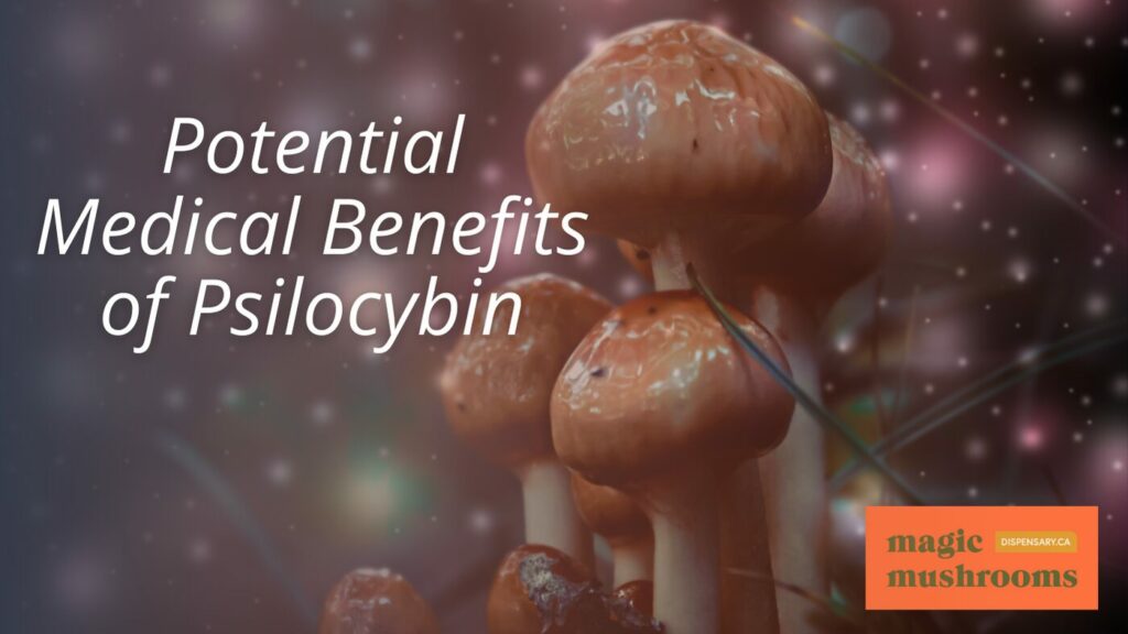 Potential Medical Benefits of Psilocybin