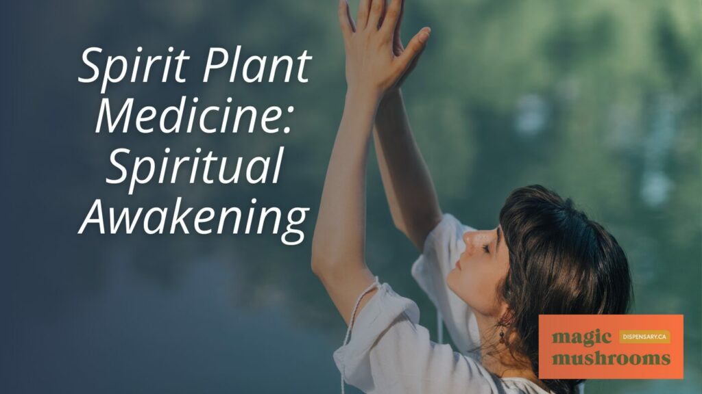 Spirit Plant Medicine Spiritual Awakening