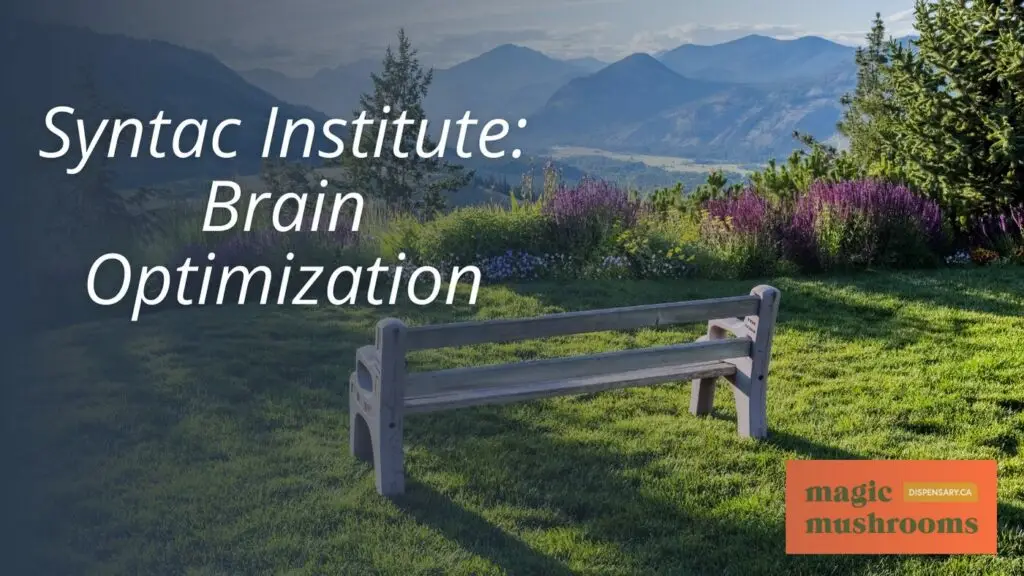 Syntac Institute Brain Optimization Syntac Institute Brain Optimization