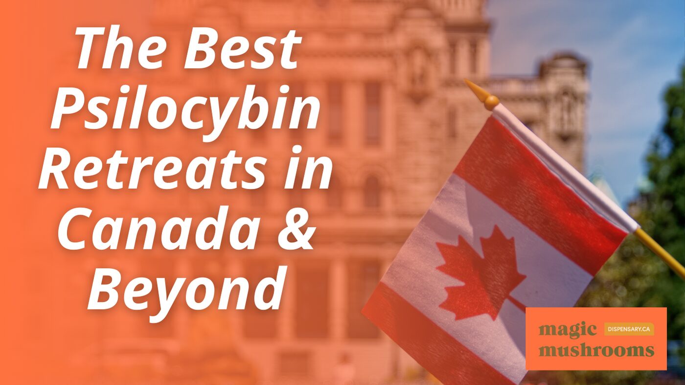 The Best Psilocybin Retreats in Canada