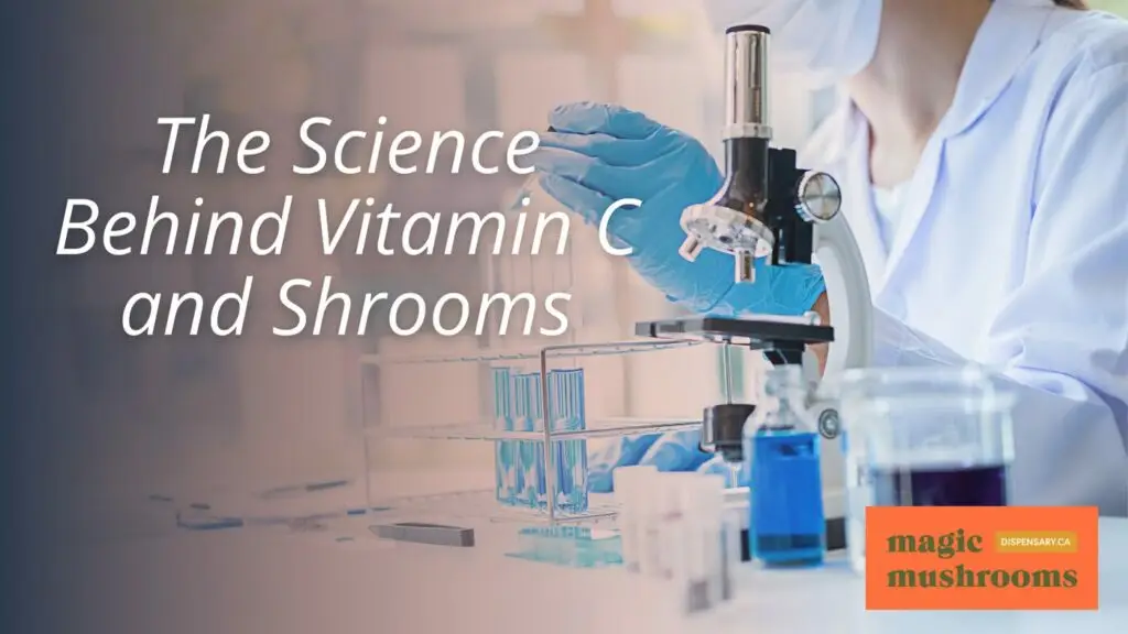 The Science Behind Vitamin C and Shrooms The Science Behind Vitamin C and Shrooms