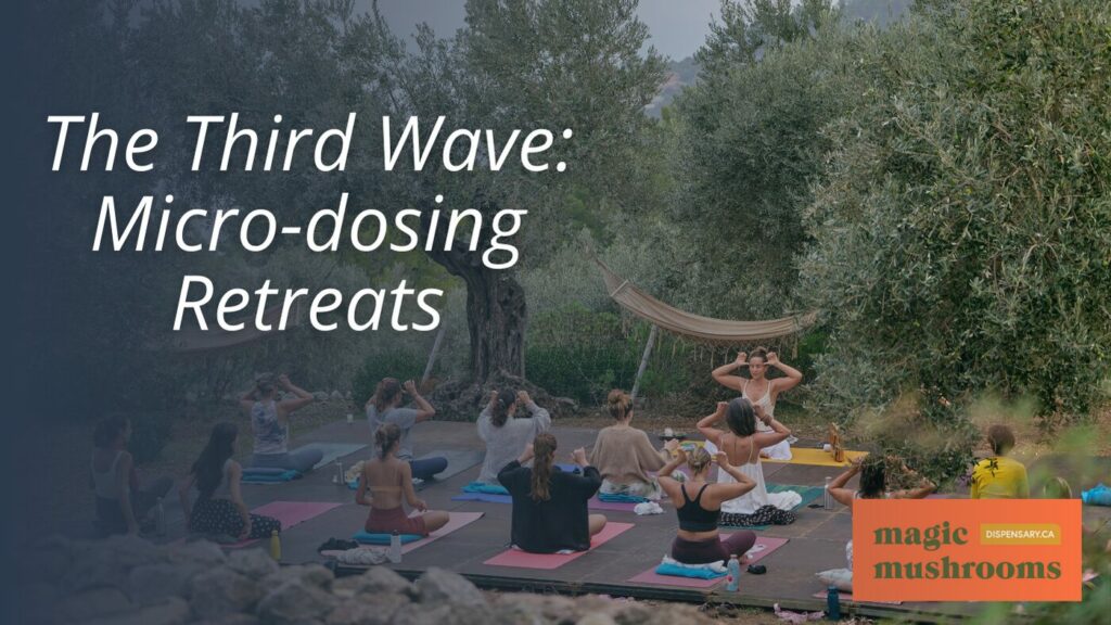 The Third Wave Micro dosing Retreats