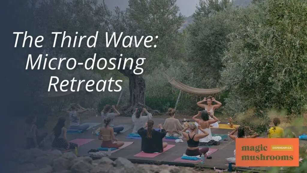 The Third Wave Micro dosing Retreats The Third Wave Micro dosing Retreats