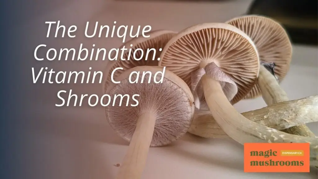 The Unique Combination Vitamin C and Shrooms The Unique Combination Vitamin C and Shrooms