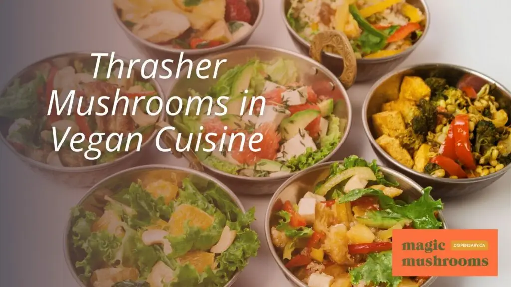 Thrasher Mushrooms in Vegan Cuisine