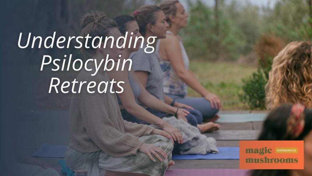 Understanding Psilocybin Retreats