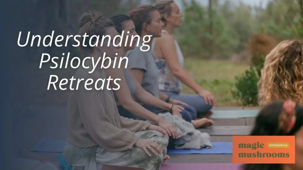 Understanding Psilocybin Retreats Understanding Psilocybin Retreats