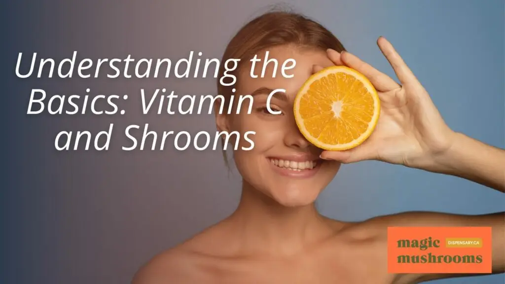 Understanding the Basics Vitamin C and Shrooms Understanding the Basics Vitamin C and Shrooms