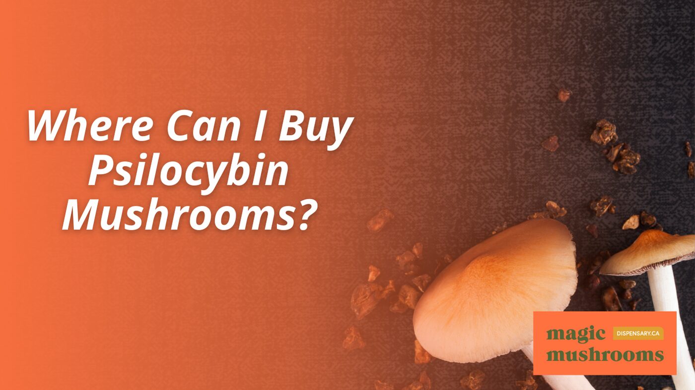 Where Can I Buy Psilocybin Mushrooms